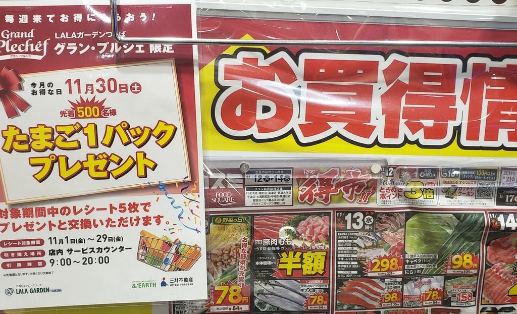 グランプルシェカスミのチラシ