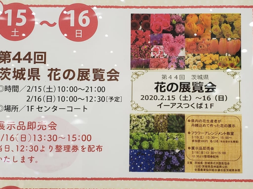 花の展覧会