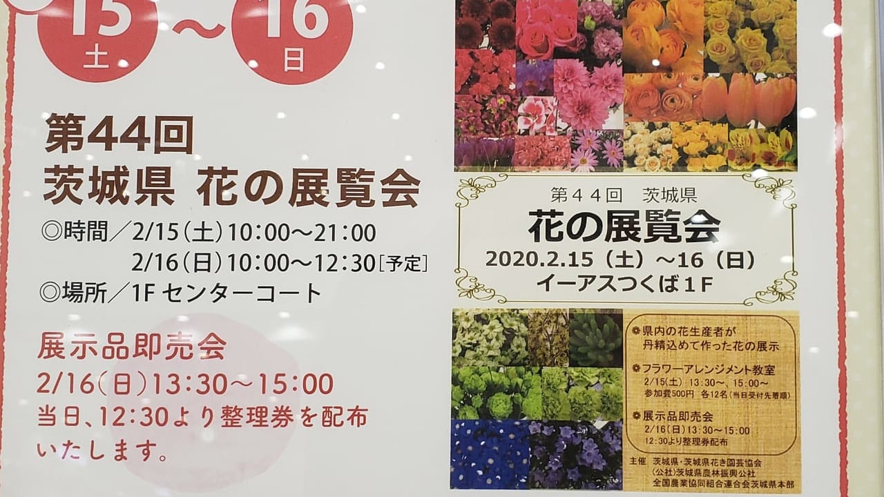 花の展覧会