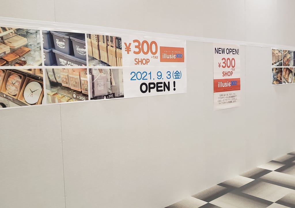 Illusie300