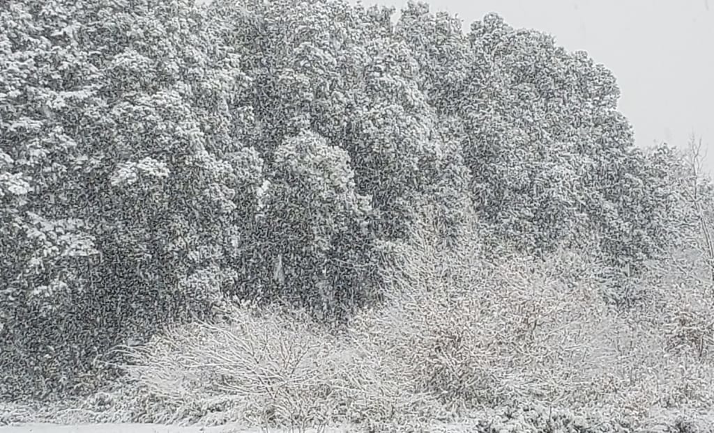 雪