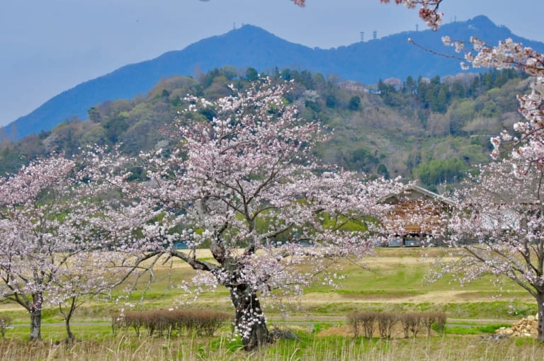 筑波山　イメージ