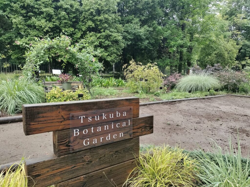 2025年6月筑波実験植物園