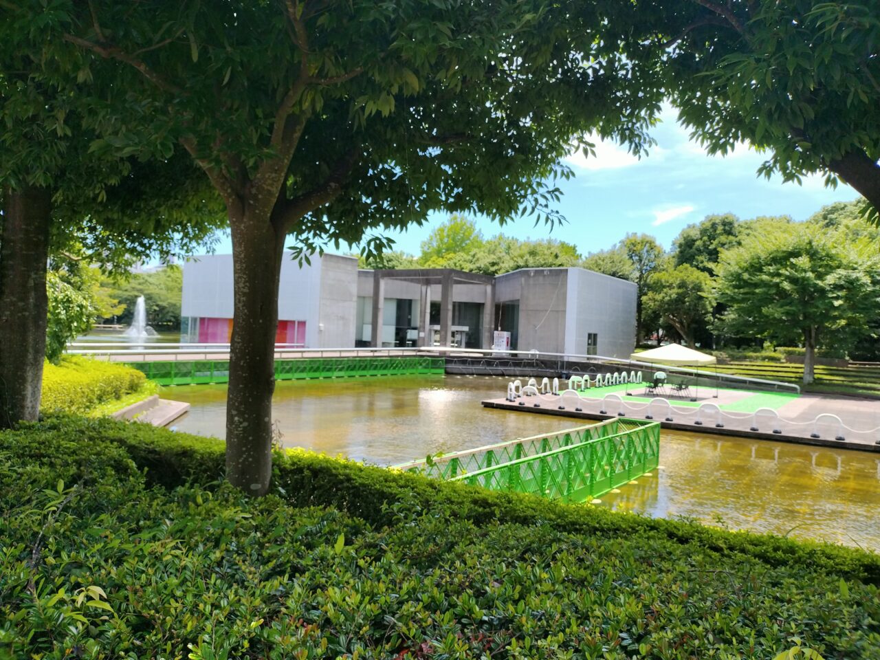 2025年7月中央公園徒渉池