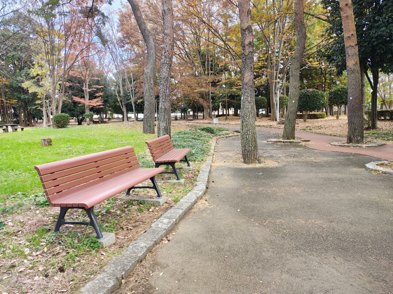 2025年11月赤塚公園