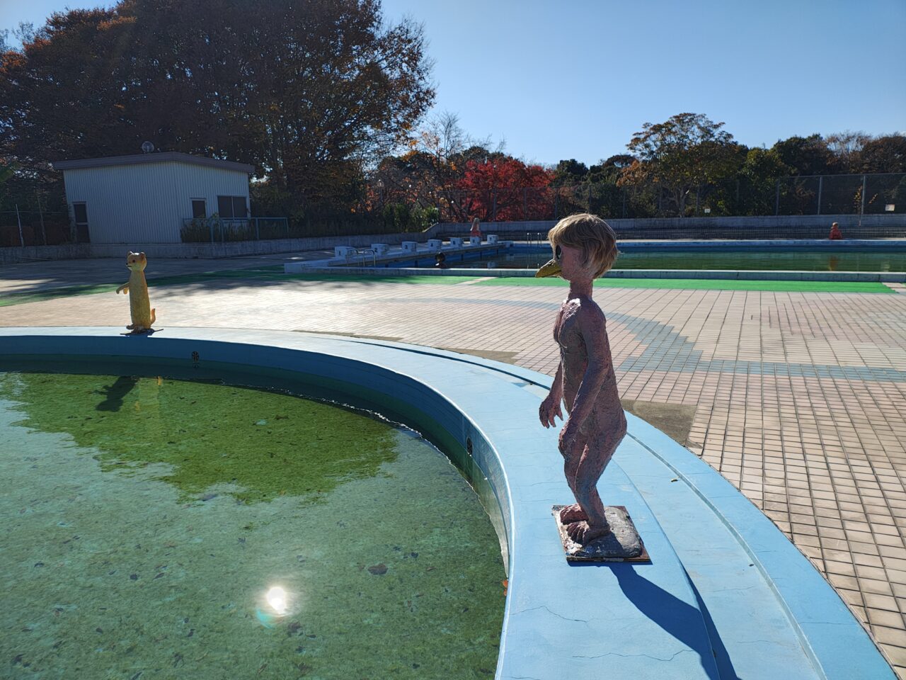 2025年11月二の宮公園河童解放区ー KAPPA ASYL