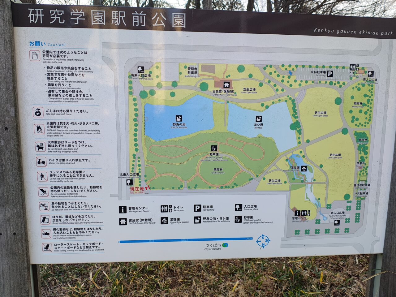 2026年1月研究学園駅前公園