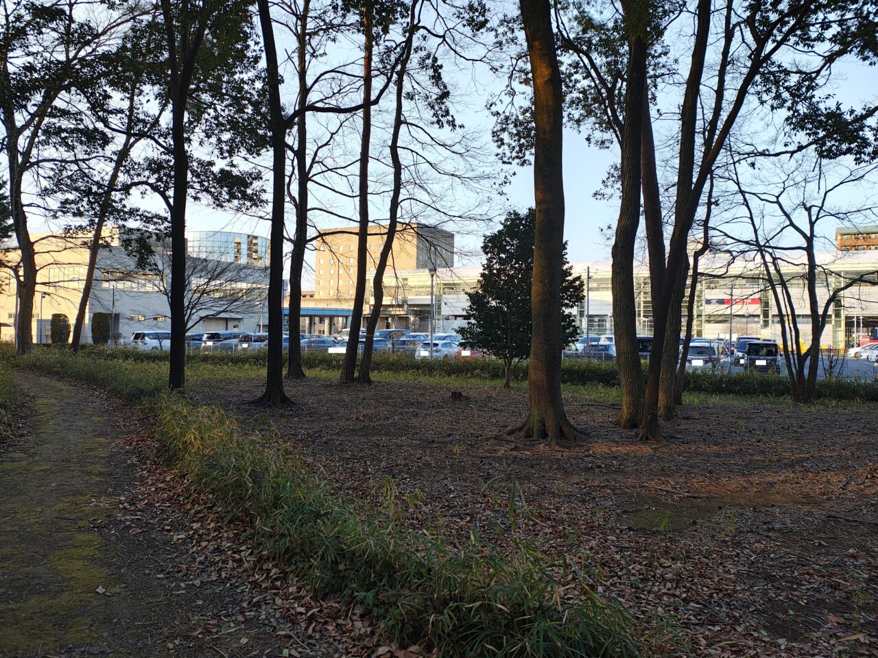 2026年1月研究学園駅前公園