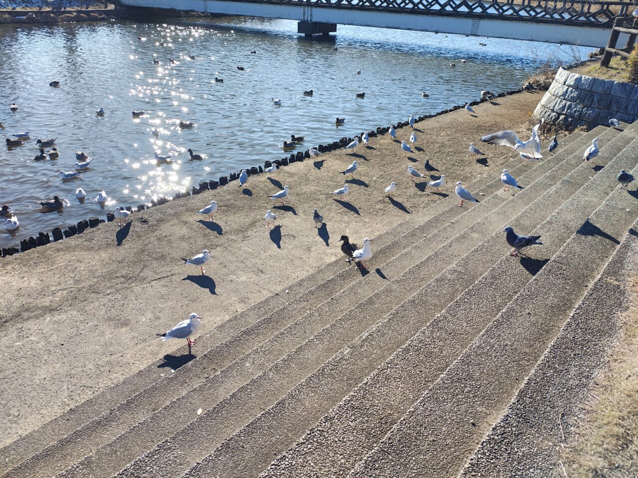 2026年1月乙戸沼公園