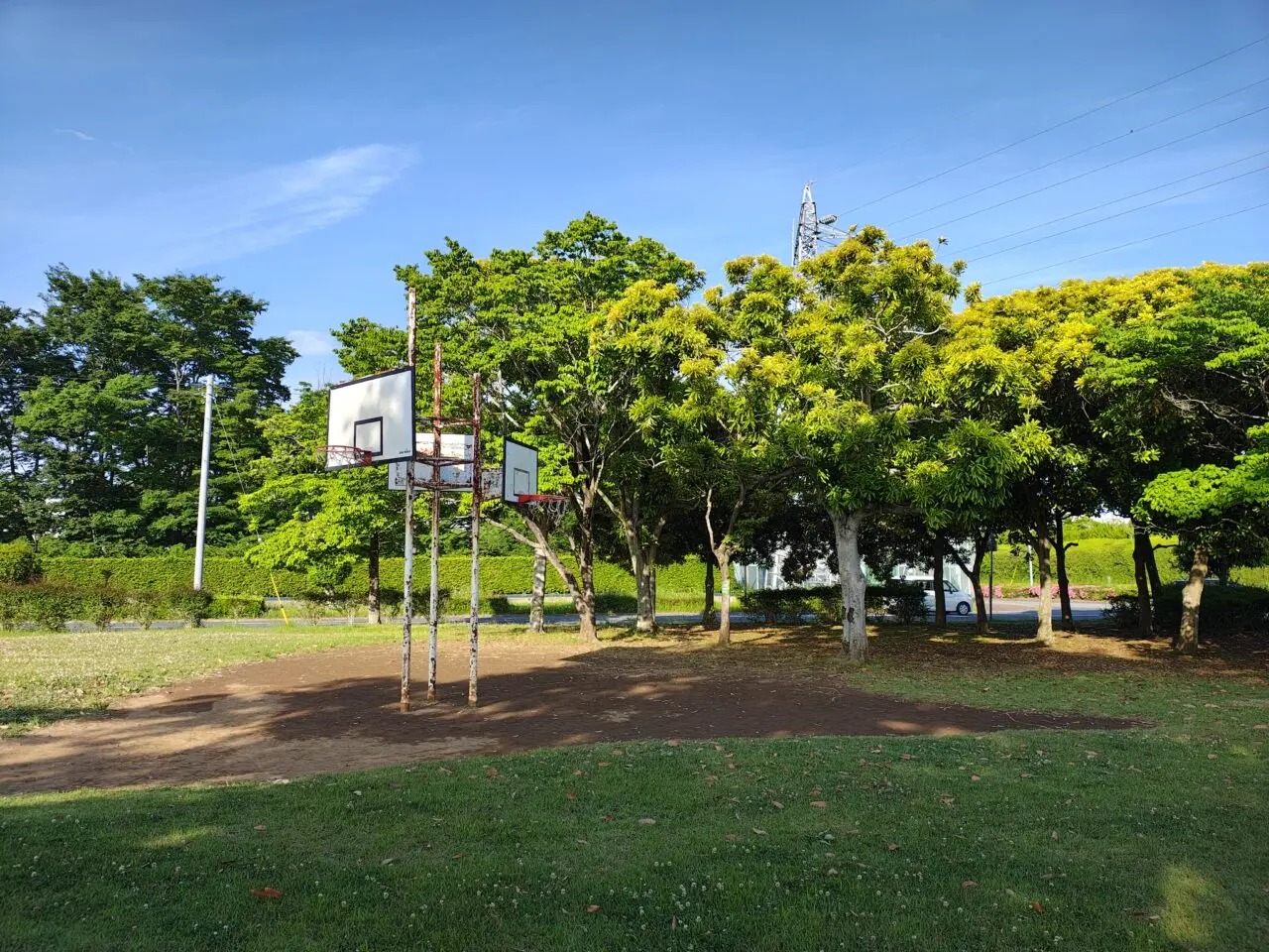 2026年6月ひだまり公園
