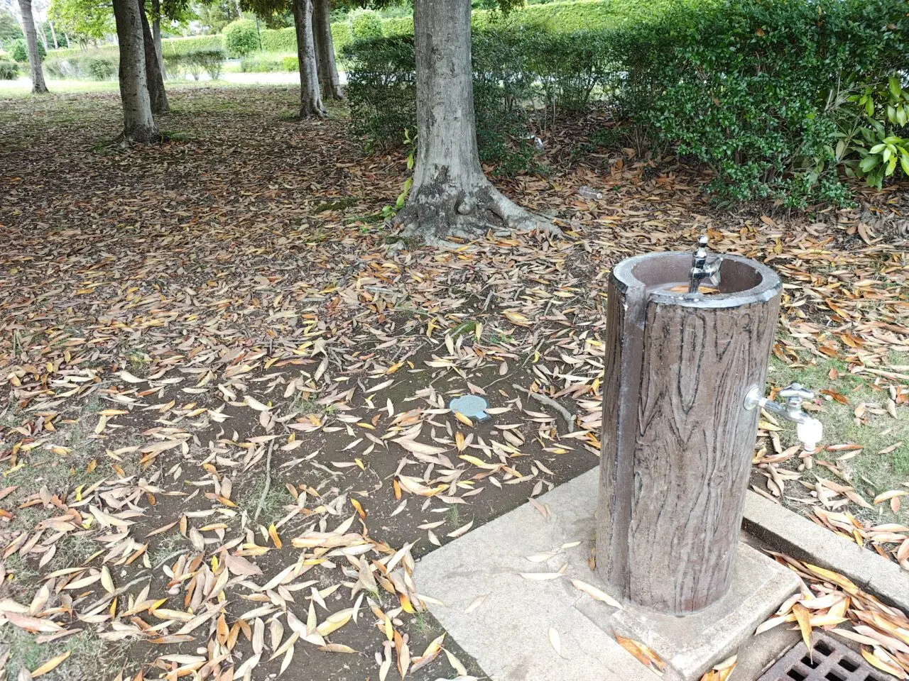 2026年6月ひだまり公園